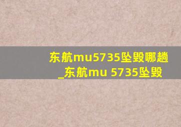 东航mu5735坠毁哪趟_东航mu 5735坠毁